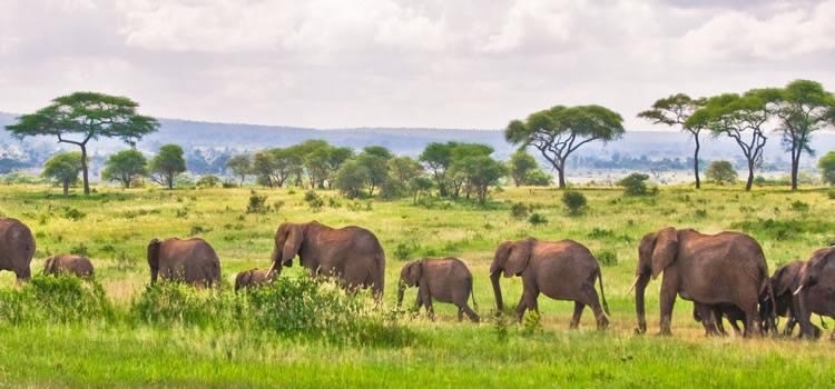 tanzaniasafari-ngorongoro